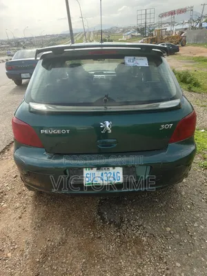 Peugeot 307 2008 Green