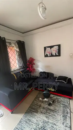Furniture Chairs and Pillows