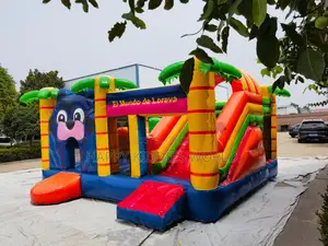 Castle Bouncers for Sale