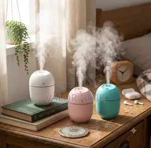 Air Humidifier Mini Ultrasonic Usb Essential Oil Diffuser