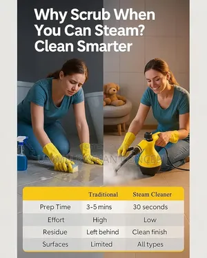 Hand-held Steamer Cleaner