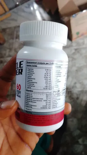 Muscle Builder