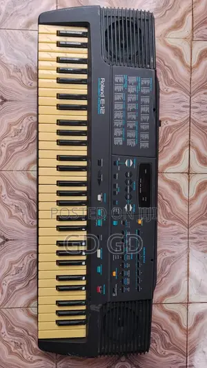 Roland E12