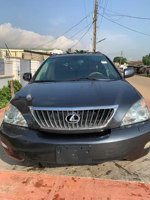 Lexus RX 2008 Gray