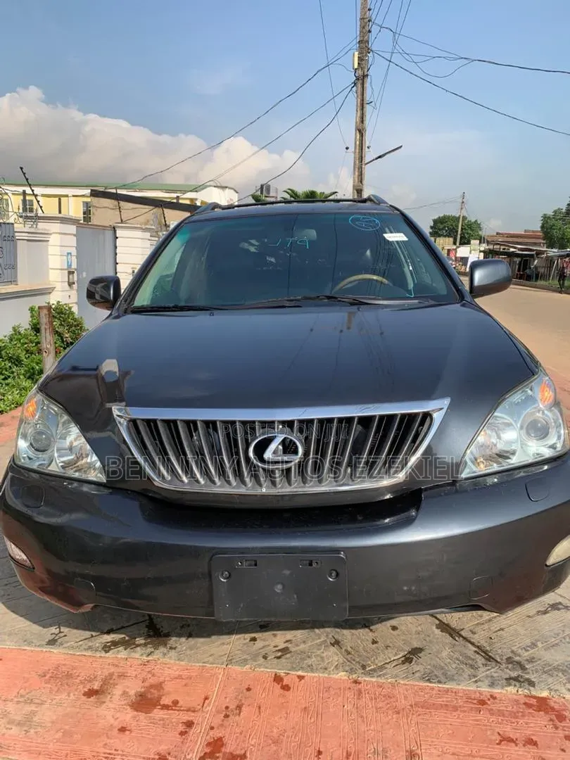 Lexus RX 2008 Gray