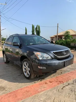Lexus RX 2008 Gray