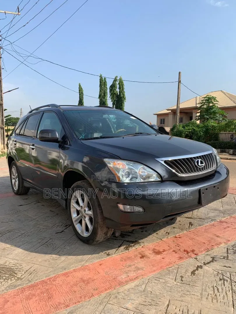 Lexus RX 2008 Gray