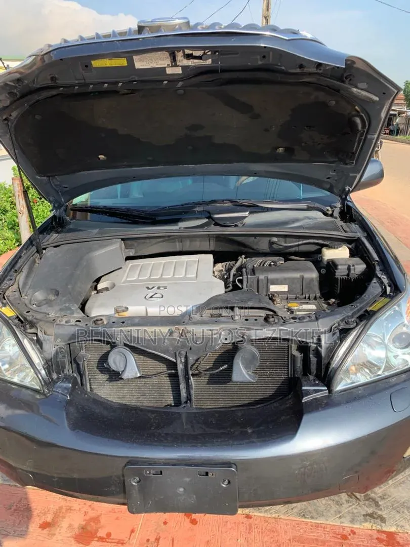Lexus RX 2008 Gray