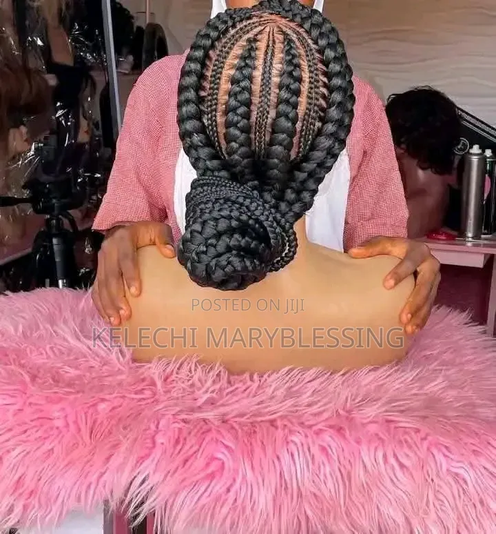 Braided Wigs