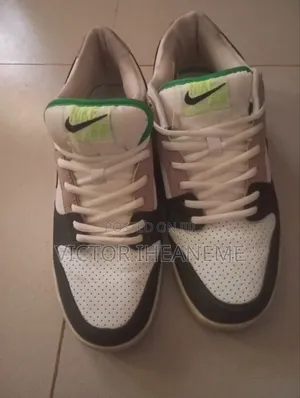 Nike Sb Dunk Low