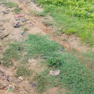 145 Hectares at Wasa