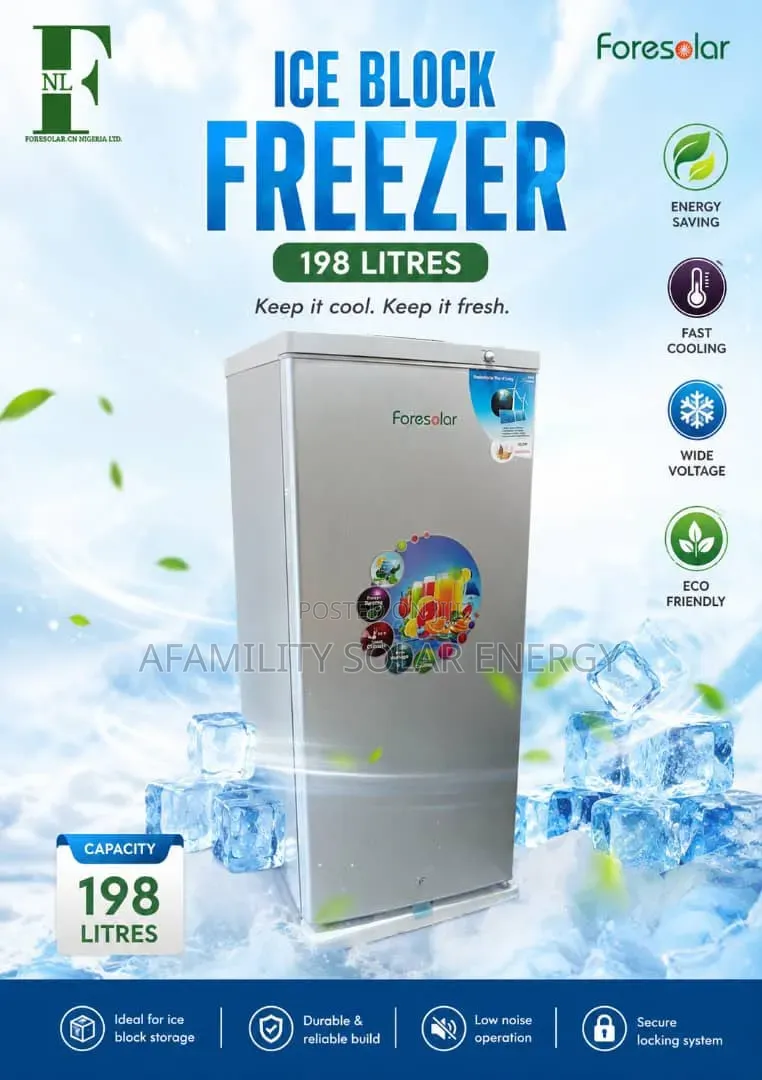 Ice Block Freezer 198l
