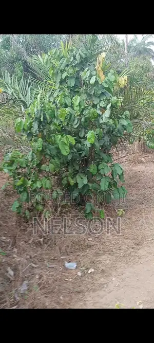 Genuine 1plot of Land for Sale