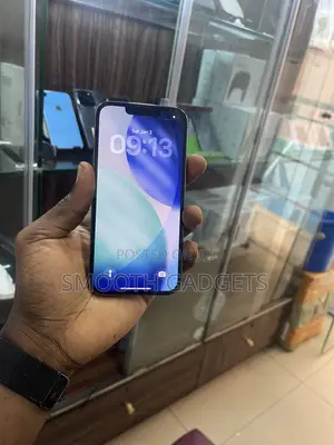 Apple iPhone 13 Pro 256 GB Gray