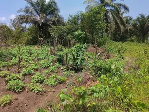 Land for Sale in Portharcourt