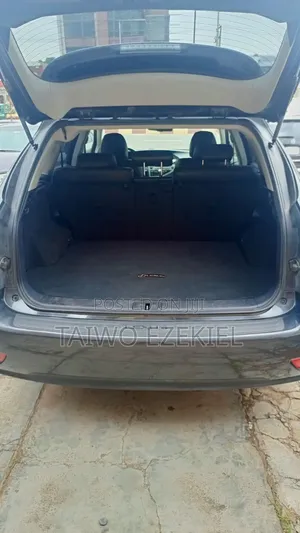 Lexus RX 2010 Gray