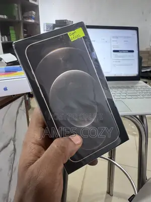 New Apple iPhone 12 Pro Max 256 GB Gold