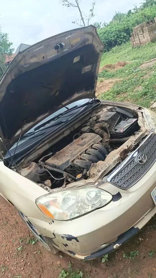 Toyota Corolla 2004 Gold