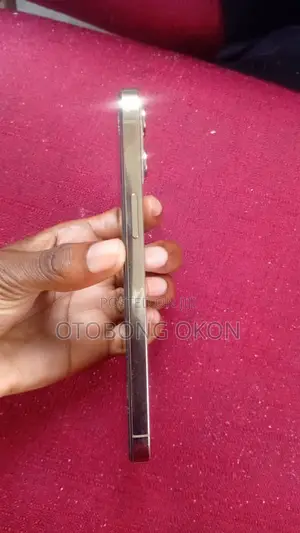 Apple iPhone 12 Pro Max 256 GB Gold