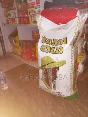Bag of Rice