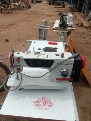 Two Lion Direct Drive