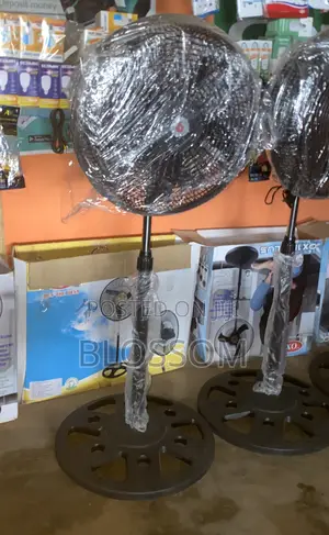 Standing Fan