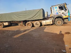 Dangote Cement Distributor
