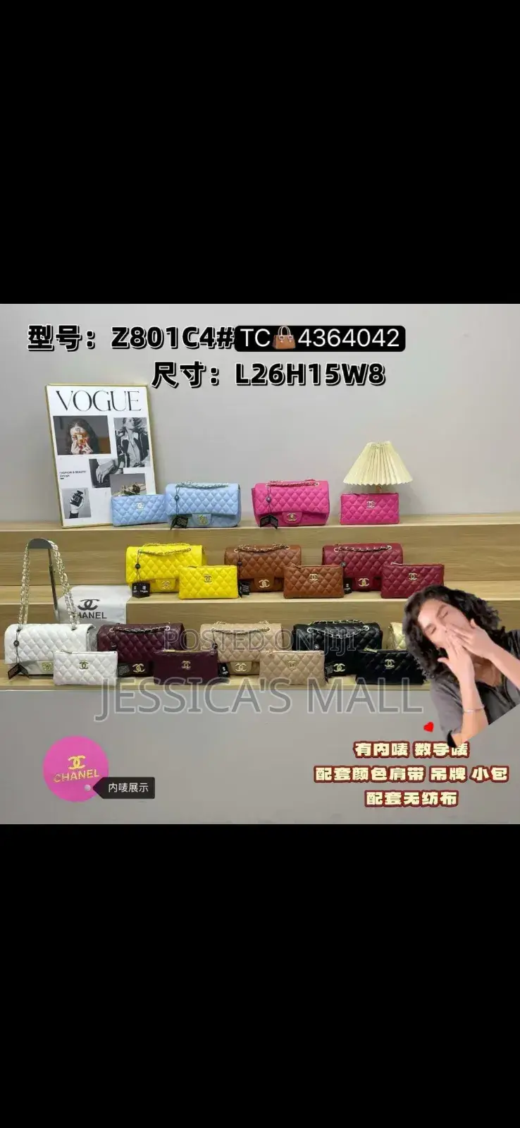 2 in 1 Chanel Bag