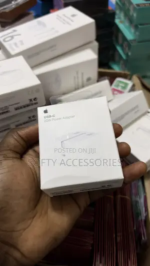 iPhone Charger