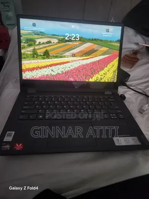 Laptop Lenovo IdeaPad Flex 14 256GB SSD 250GB