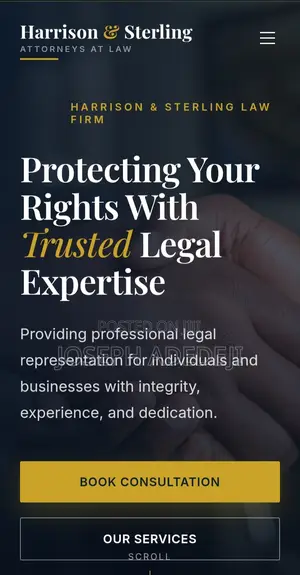 Professional Website Design