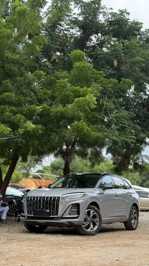 New Hongqi E-HS9 2025 Silver