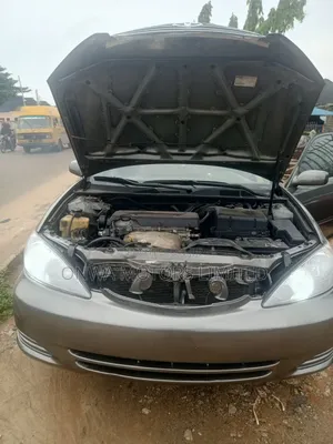 Toyota Camry XLE 4dr Sedan (2.4L 4cyl 5A) 2005 Gray