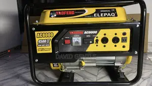 Elepaq Manual Starter Generator 100%Copper Ac- 8000 With Timer