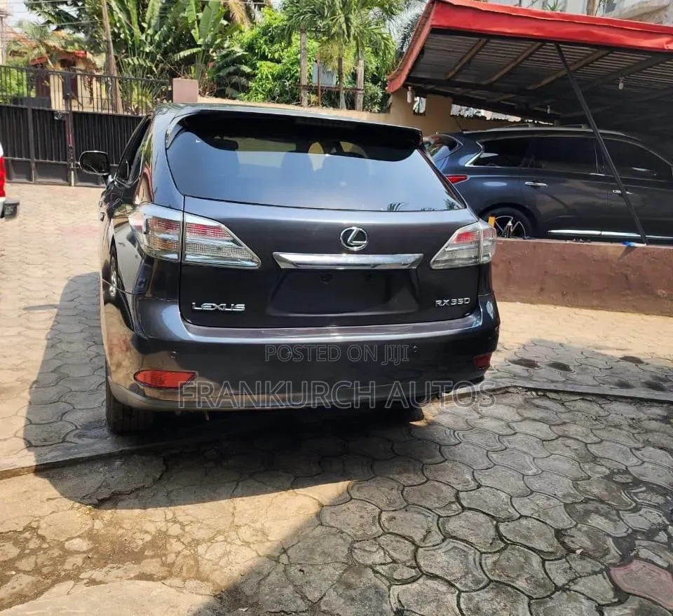 Lexus RX 2010 Gray