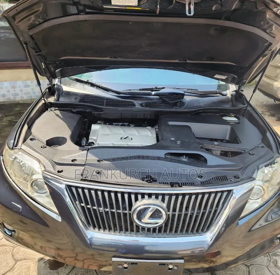 Lexus RX 2010 Gray