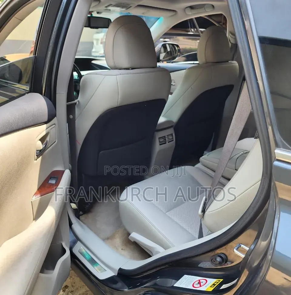 Lexus RX 2010 Gray