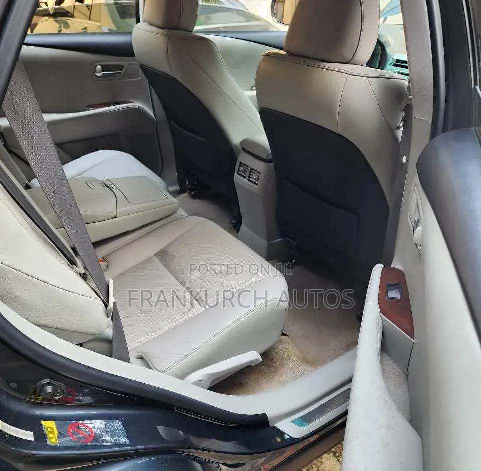 Lexus RX 2010 Gray