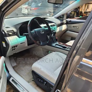 Lexus RX 2010 Gray