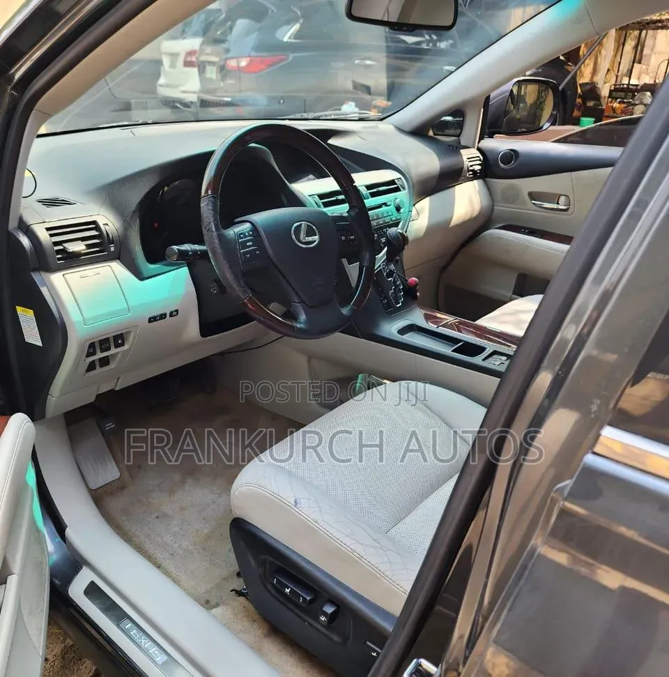 Lexus RX 2010 Gray