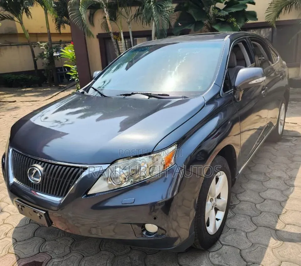 Lexus RX 2010 Gray