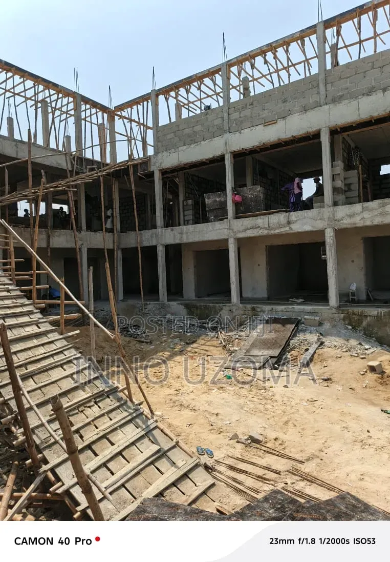 Professional Carpenter Works