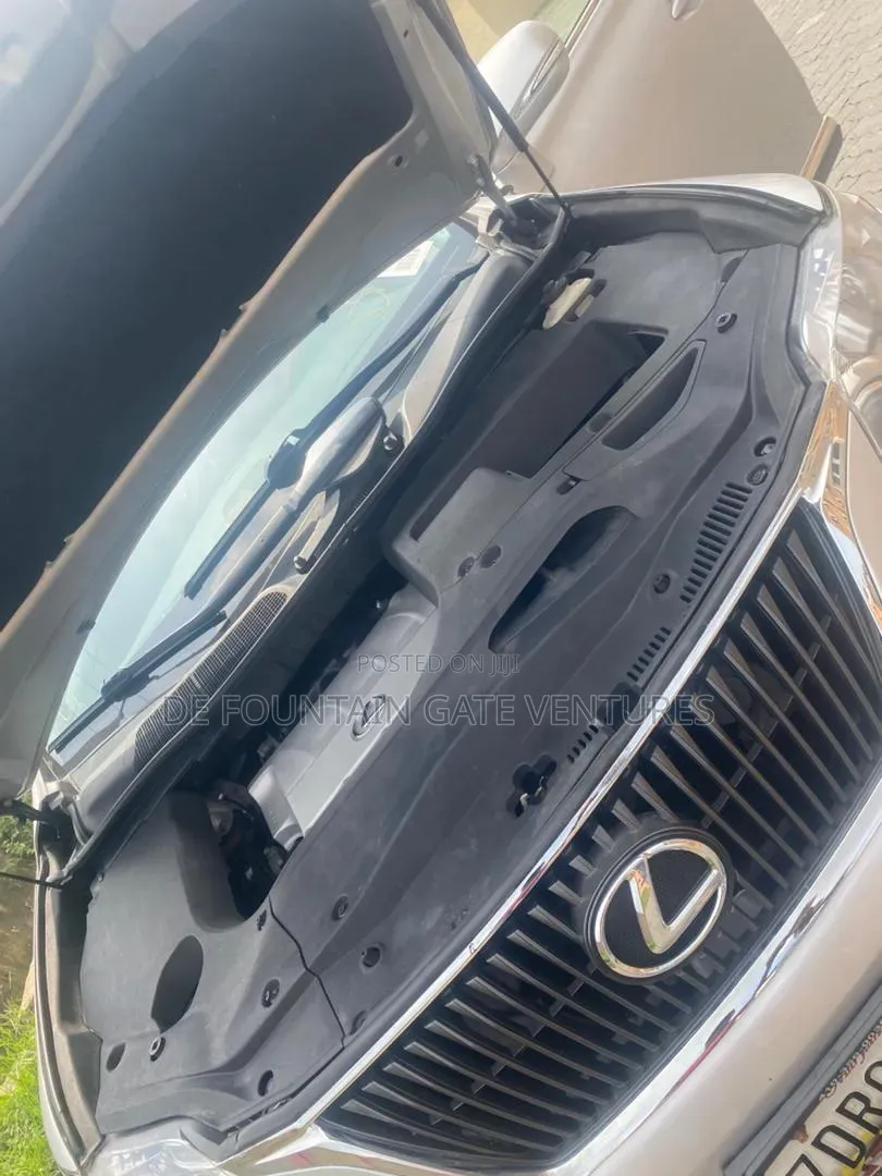 Lexus RX 2010 Silver