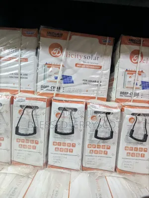 Delicity 250ah 12v Tall Tubular Solar Inverter Batteries in Stock