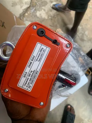 Digital Crane Scale