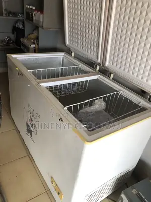 Skyrun Freezer