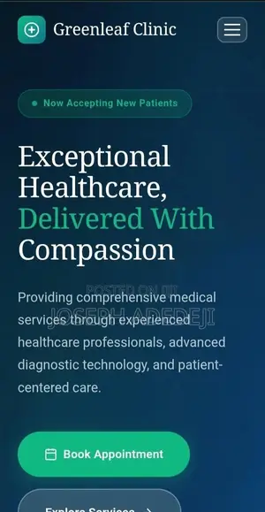 Professional Website Design
