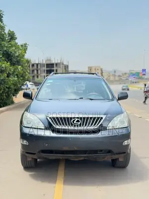 Lexus RX 2008 Gray