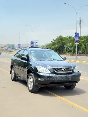 Lexus RX 2008 Gray
