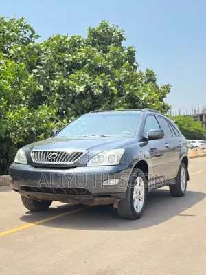 Lexus RX 2008 Gray